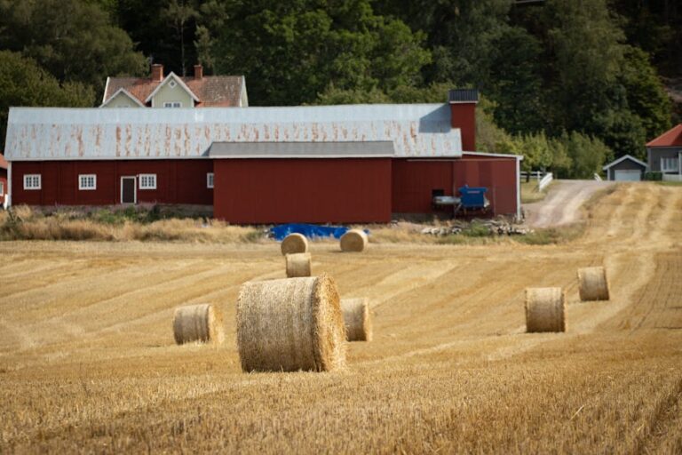 Chaurchan Parv 2025: A Unique Festival Celebrated by Women